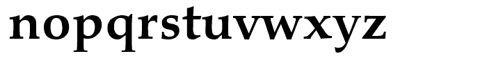 Palatino eText Bold Font LOWERCASE
