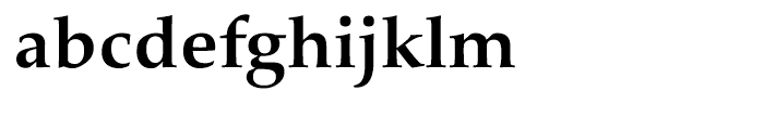 Palatino nova Cyrillic Bold Font LOWERCASE