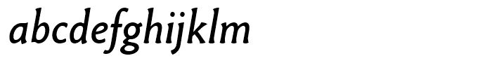 Paradigm Standard Italic Font LOWERCASE