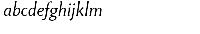 Paradigm Standard Light Italic Font LOWERCASE
