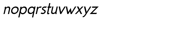 Parametra Italic Font LOWERCASE