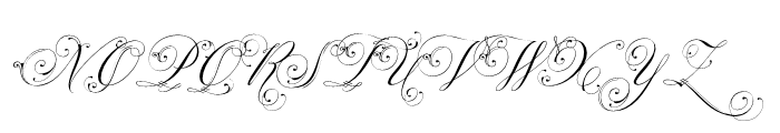 Parfumerie Script Decorative Font UPPERCASE