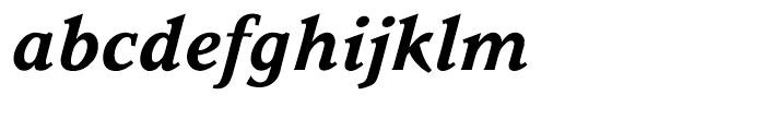 Parkinson Bold Italic Font LOWERCASE