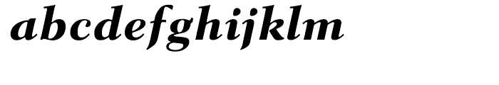 Parkinson Electra Heavy Italic Font LOWERCASE