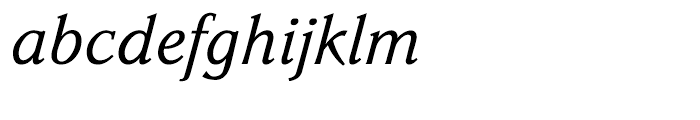 Parkinson Italic Font LOWERCASE