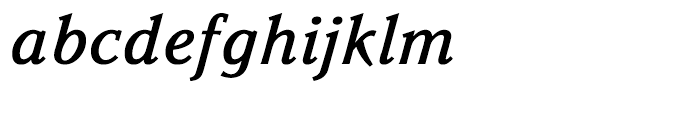 Parkinson Medium Italic Font LOWERCASE