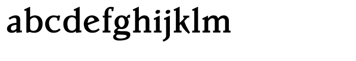 Parkinson Medium Font LOWERCASE