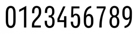Parangon Extra Condensed 310 Regular Font OTHER CHARS