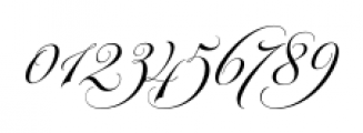 Parfumerie Script Curly Font OTHER CHARS