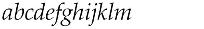 Palatino Light Italic Font LOWERCASE