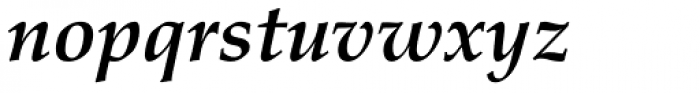 Palatino Pro Bold Italic Font LOWERCASE