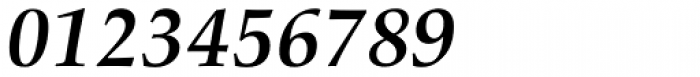 Palatino nova Std Cyrillic Bold Italic Font OTHER CHARS