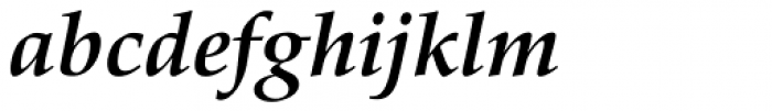 Palatino nova Std Cyrillic Bold Italic Font LOWERCASE