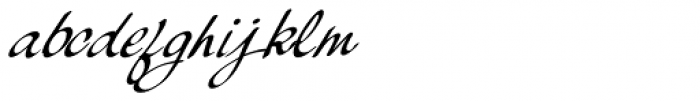 Palisade Medium Italic Font LOWERCASE