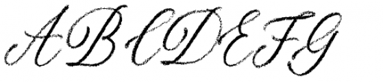 Palomino Script Font UPPERCASE