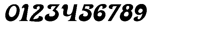 Palrome Italic Font OTHER CHARS
