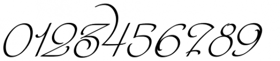 Paradise Script One Font OTHER CHARS