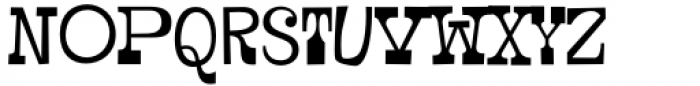 Pardner Regular Font LOWERCASE