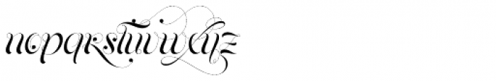 Parfait Script Stylistic Font LOWERCASE
