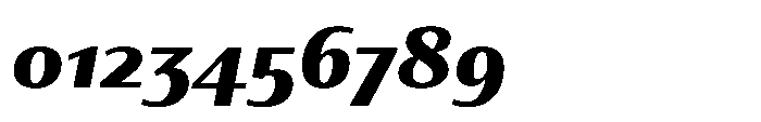 Partner Sans Black Italic Font OTHER CHARS