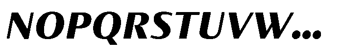 Partner Sans Black Italic Font UPPERCASE