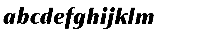 Partner Sans Black Italic FONT