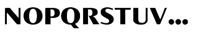 Partner Sans Black Font UPPERCASE
