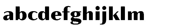 Partner Sans Black FONT