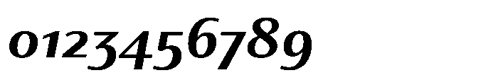 Partner Sans Bold Italic Font OTHER CHARS