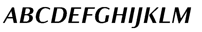 Partner Sans Bold Italic Font UPPERCASE