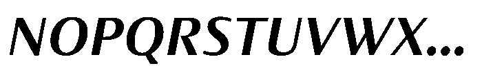 Partner Sans Bold Italic Font UPPERCASE