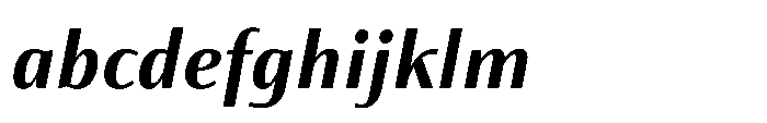 Partner Sans Bold Italic FONT