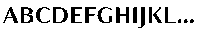 Partner Sans Bold Font UPPERCASE