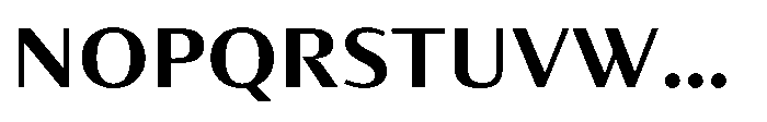 Partner Sans Bold Font UPPERCASE