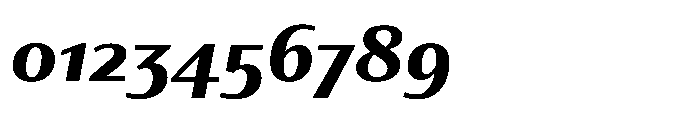Partner Sans Extra Bold Italic Font OTHER CHARS