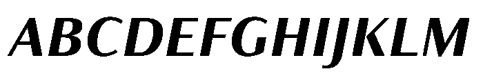 Partner Sans Extra Bold Italic Font