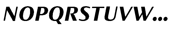 Partner Sans Extra Bold Italic Font UPPERCASE