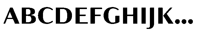 Partner Sans Extra Bold Font UPPERCASE