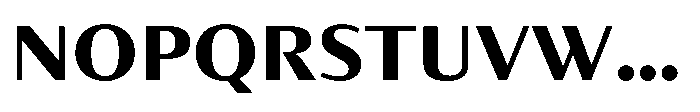 Partner Sans Extra Bold Font UPPERCASE