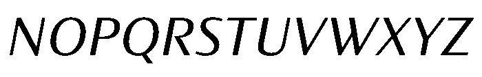 Partner Sans Medium Italic Font UPPERCASE