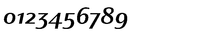 Partner Sans Semi Bold Italic Font OTHER CHARS