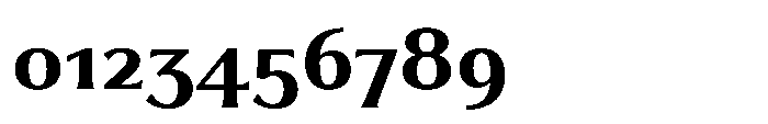 Partner Serif Bold Font OTHER CHARS