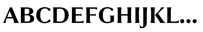 Partner Serif Bold Font UPPERCASE