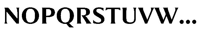 Partner Serif Bold Font UPPERCASE