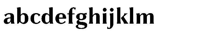 Partner Serif Bold FONT