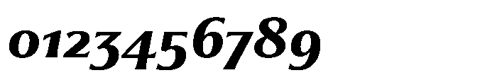 Partner Serif Extra Bold Italic Font OTHER CHARS