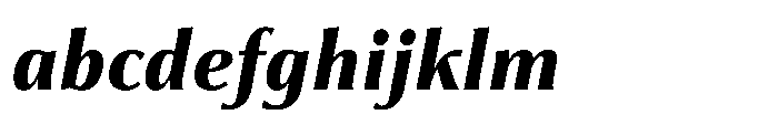 Partner Serif Extra Bold Italic FONT