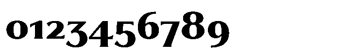 Partner Serif Extra Bold Font OTHER CHARS
