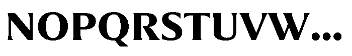 Partner Serif Extra Bold Font UPPERCASE