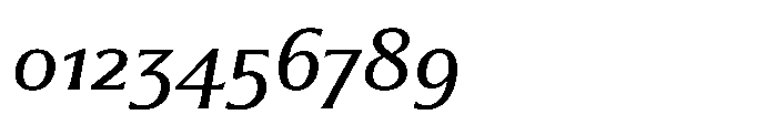 Partner Serif Medium Italic Font OTHER CHARS